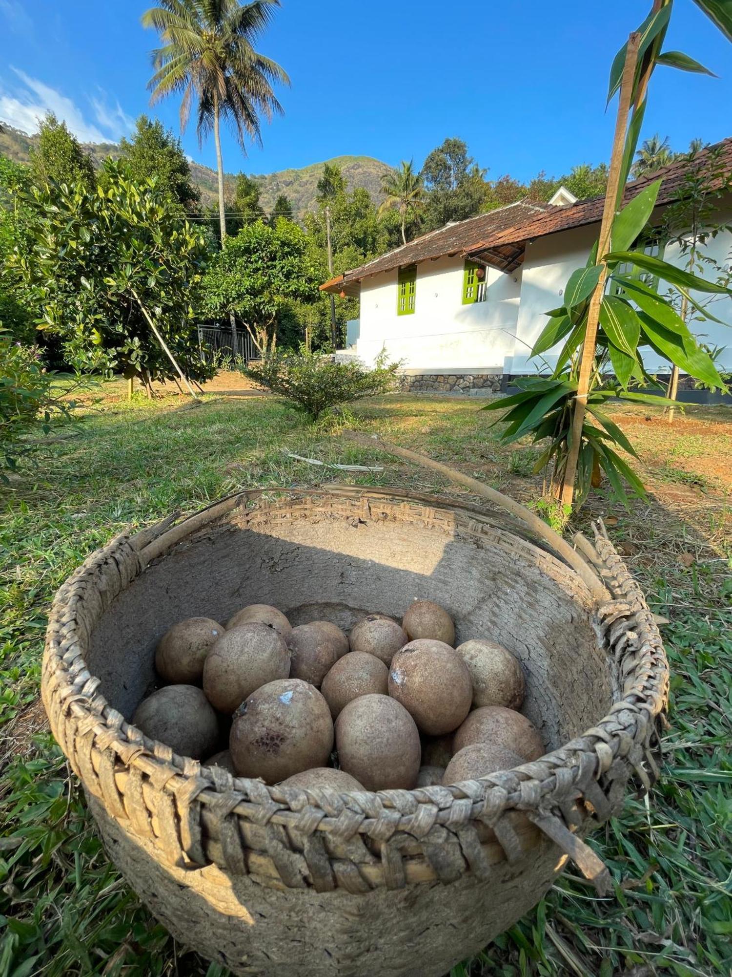 Calm Shack - 2 Bedroom-Boutique Farm Stay Munnar Εξωτερικό φωτογραφία