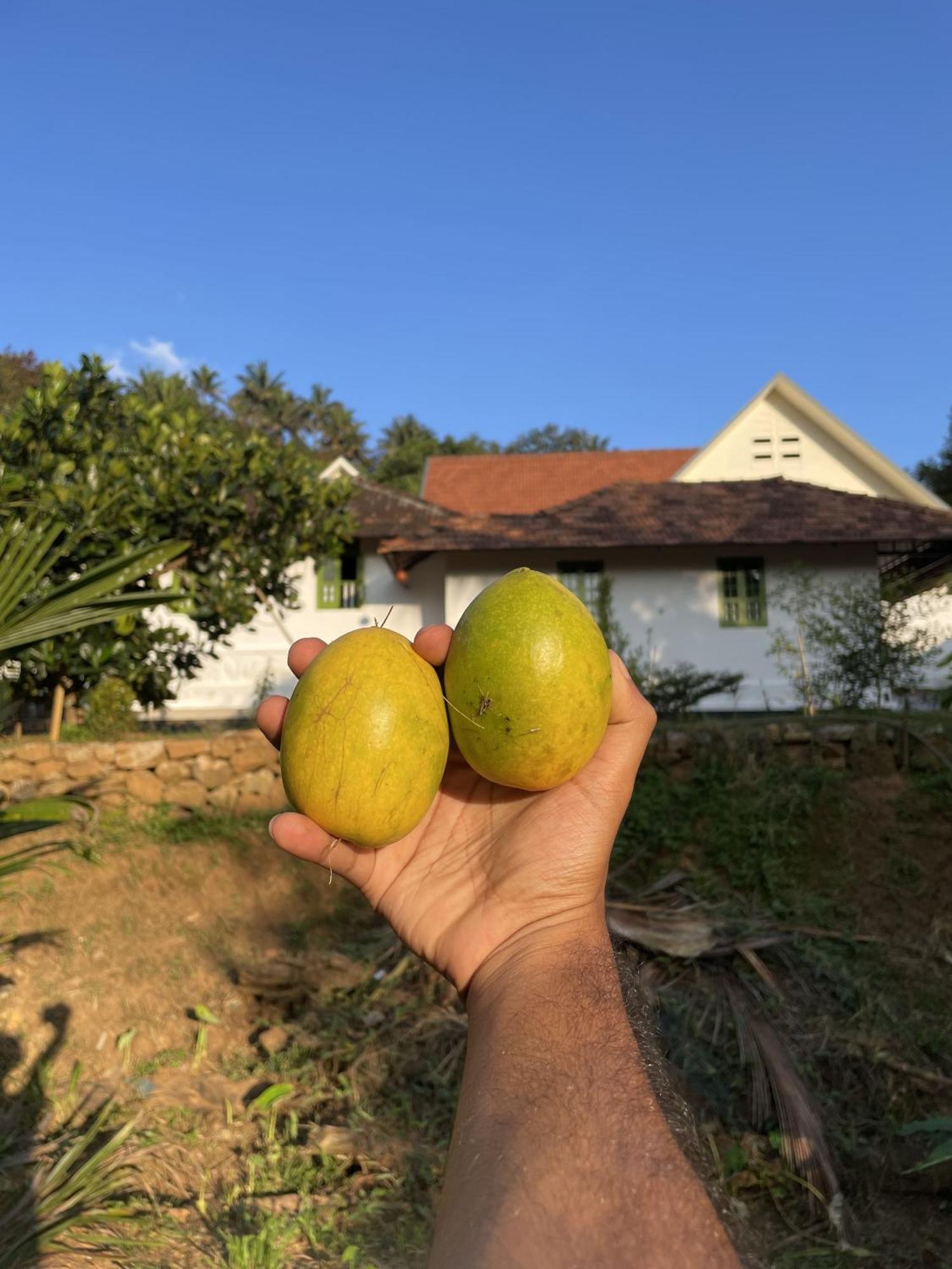 Calm Shack - 2 Bedroom-Boutique Farm Stay Munnar Εξωτερικό φωτογραφία