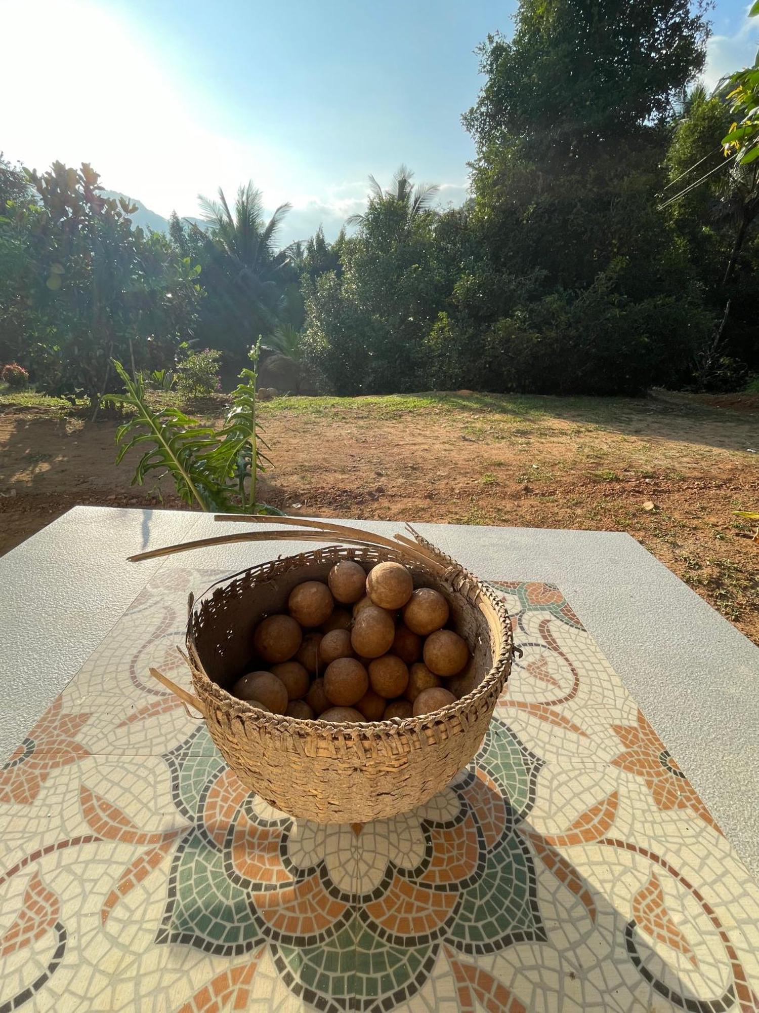 Calm Shack - 2 Bedroom-Boutique Farm Stay Munnar Εξωτερικό φωτογραφία