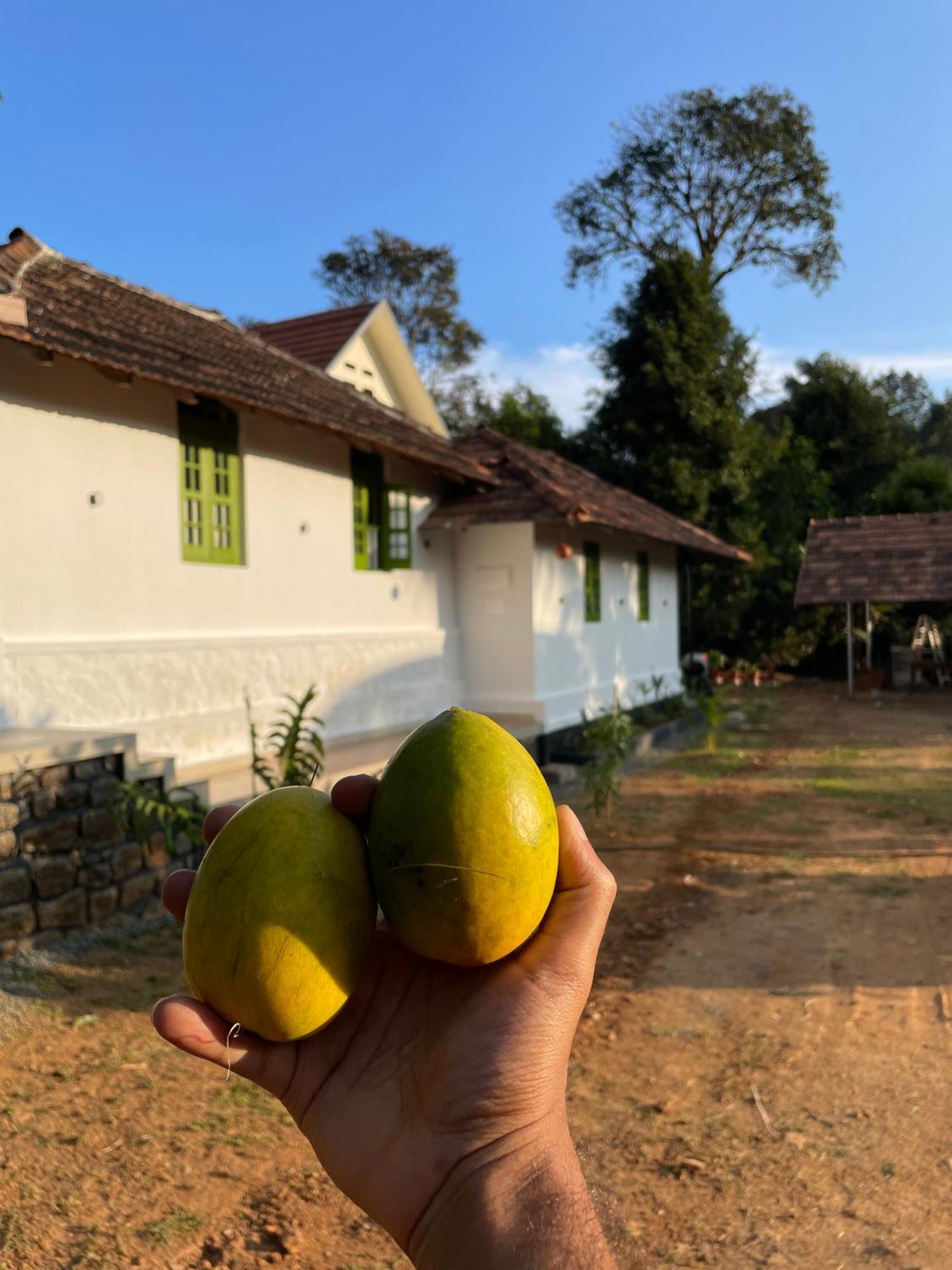 Calm Shack - 2 Bedroom-Boutique Farm Stay Munnar Εξωτερικό φωτογραφία