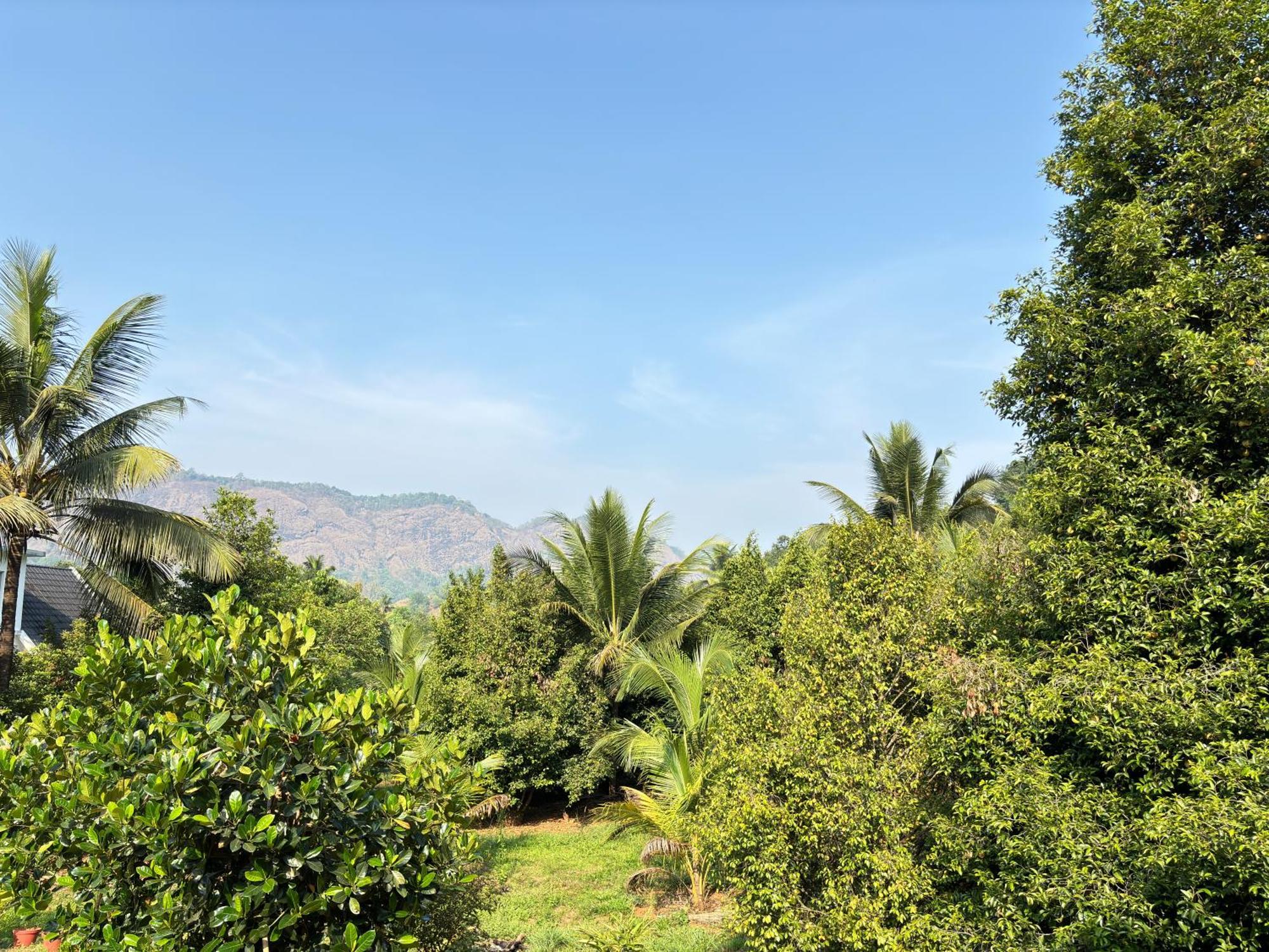 Calm Shack - 2 Bedroom-Boutique Farm Stay Munnar Εξωτερικό φωτογραφία