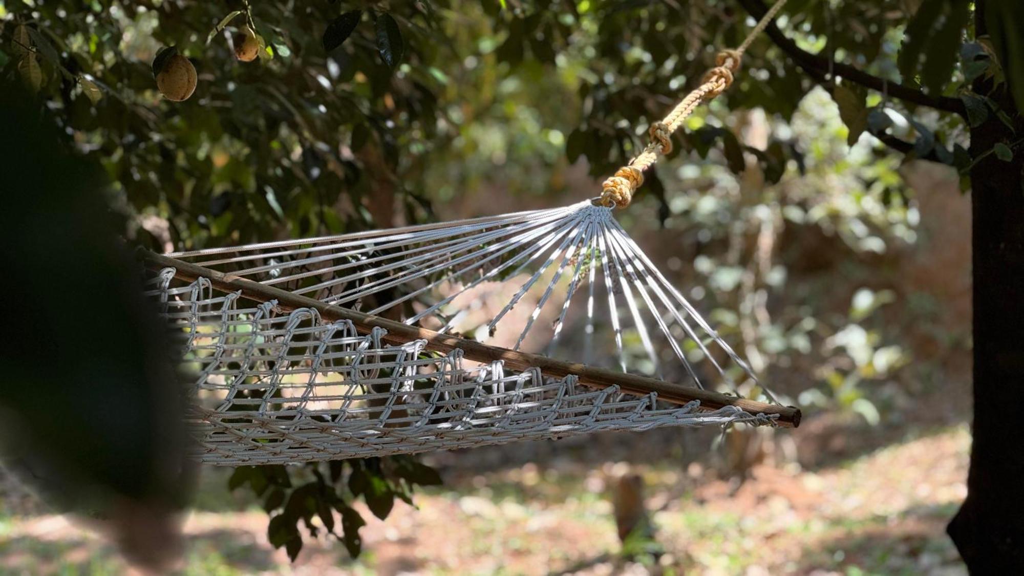 Calm Shack - 2 Bedroom-Boutique Farm Stay Munnar Εξωτερικό φωτογραφία